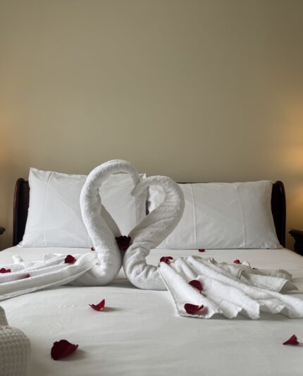 Elegant hotel bed decorated with towel swans and rose petals, set between two bedside lamps for a romantic stay in the bridal suite at The Walter Raleigh Hotel.