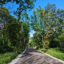 Midleton Greenway, Mogeely, Co_master