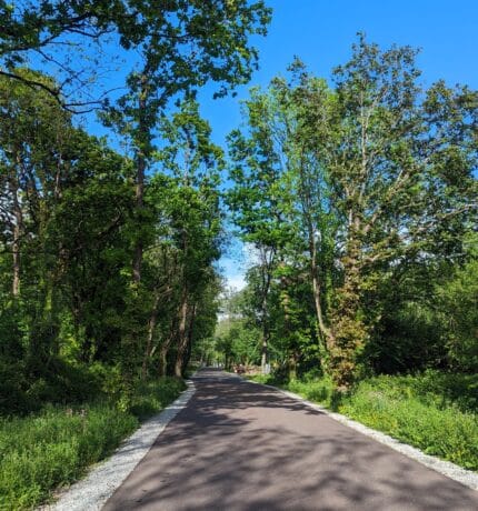 Midleton Greenway, Mogeely, Co_master