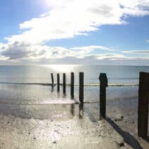 Beach with poles
