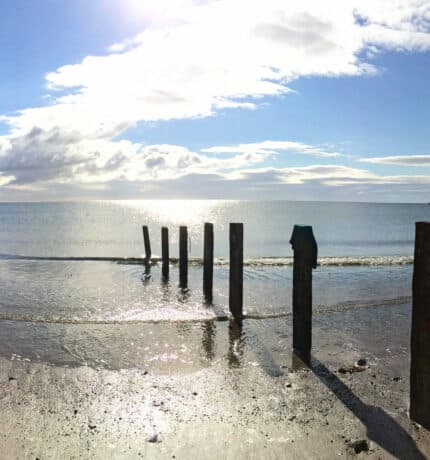 Beach with poles