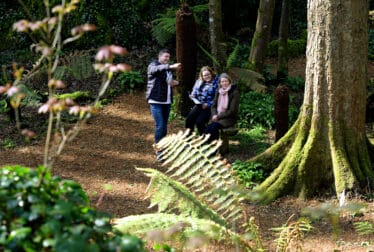 Guided Walking Tours
