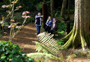 walking-tours-blarney-castle-source-icp