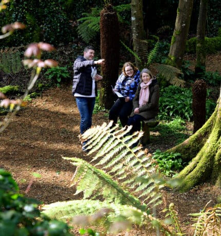 walking-tours-blarney-castle-source-icp